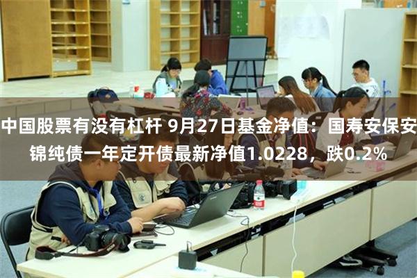 中国股票有没有杠杆 9月27日基金净值：国寿安保安锦纯债一年定开债最新净值1.0228，跌0.2%