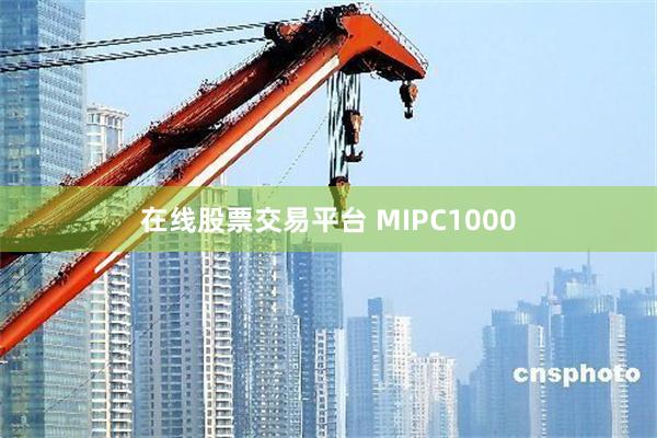 在线股票交易平台 MIPC1000