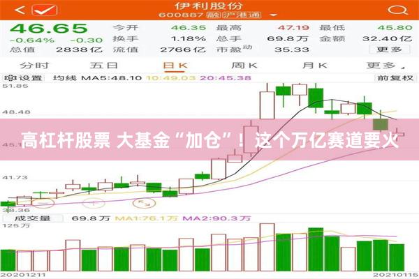 高杠杆股票 大基金“加仓”！这个万亿赛道要火