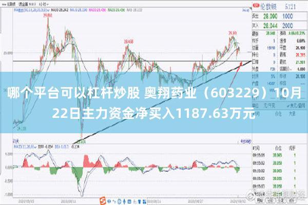 哪个平台可以杠杆炒股 奥翔药业（603229）10月22日主力资金净买入1187.63万元