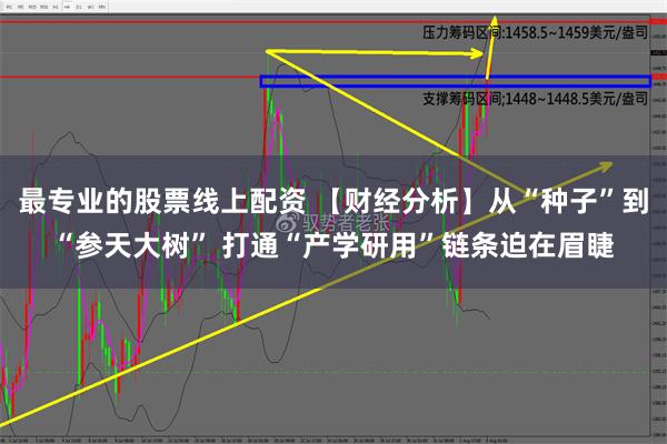 最专业的股票线上配资 【财经分析】从“种子”到“参天大树” 打通“产学研用”链条迫在眉睫