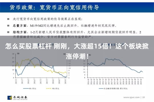 怎么买股票杠杆 刚刚，大涨超15倍！这个板块掀涨停潮！