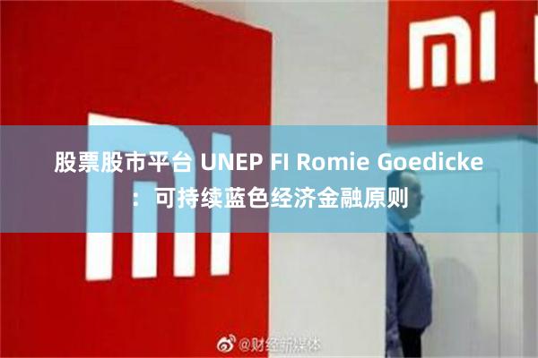 股票股市平台 UNEP FI Romie Goedicke：可持续蓝色经济金融原则