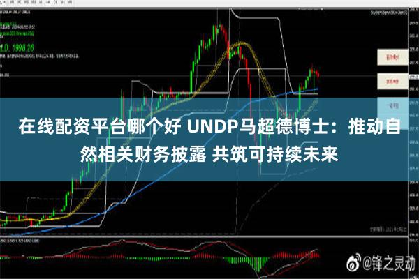 在线配资平台哪个好 UNDP马超德博士：推动自然相关财务披露 共筑可持续未来