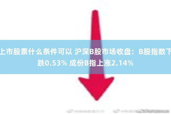 上市股票什么条件可以 沪深B股市场收盘：B股指数下跌0.53% 成份B指上涨2.14%